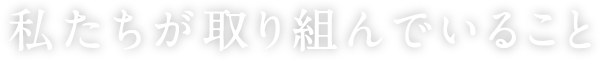 私たちが取り組んでいること