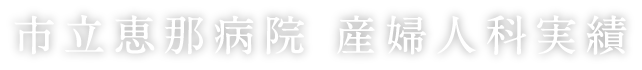 市立恵那病院 産婦人科実績